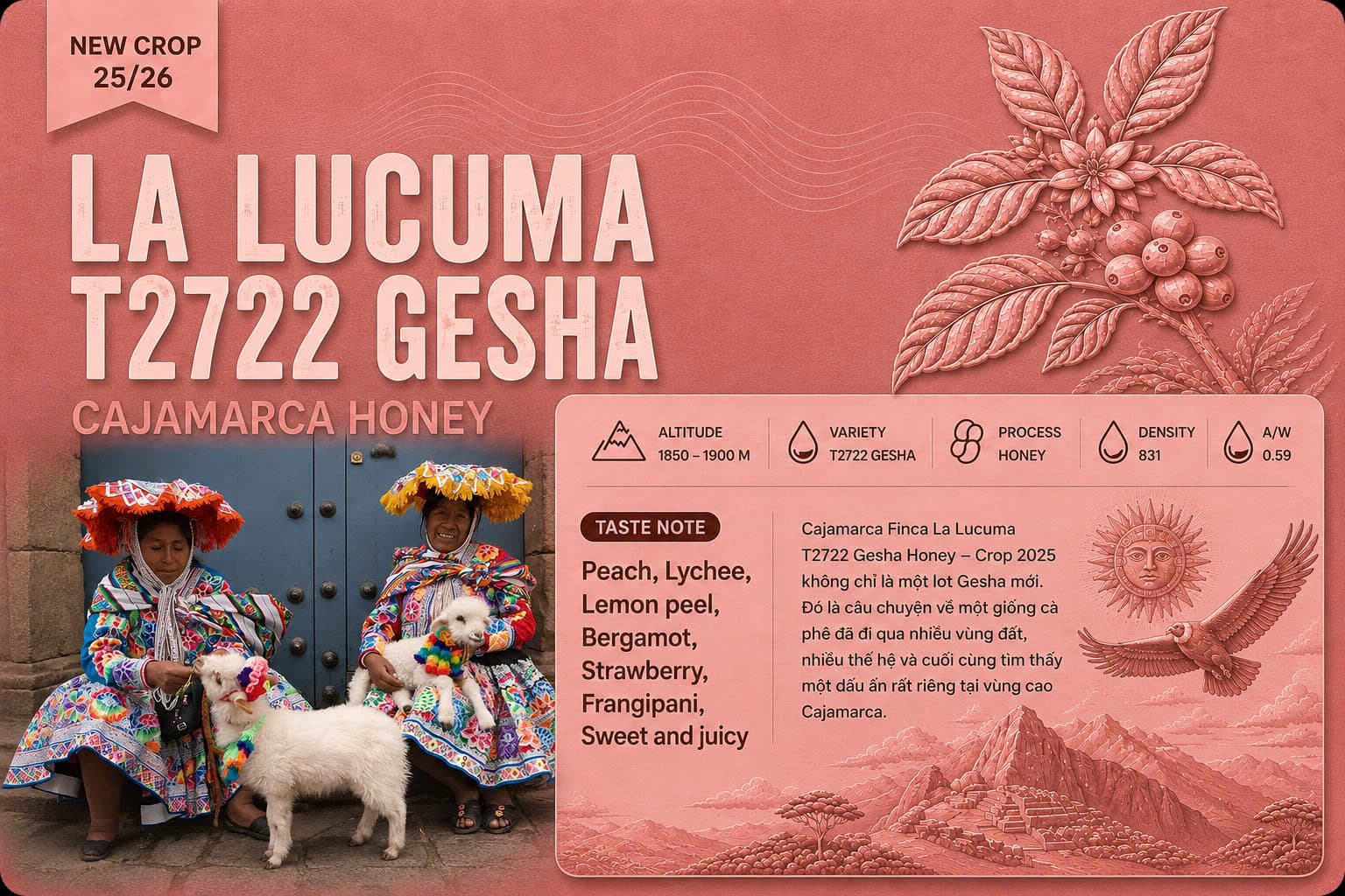 Peru — Cajamarca Gesha Honey